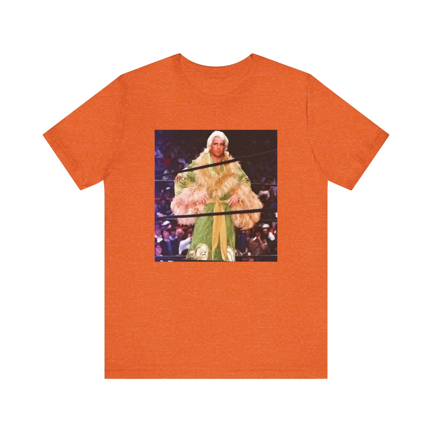 Ric Flair and The Jungle Robe! WOOOOO!
