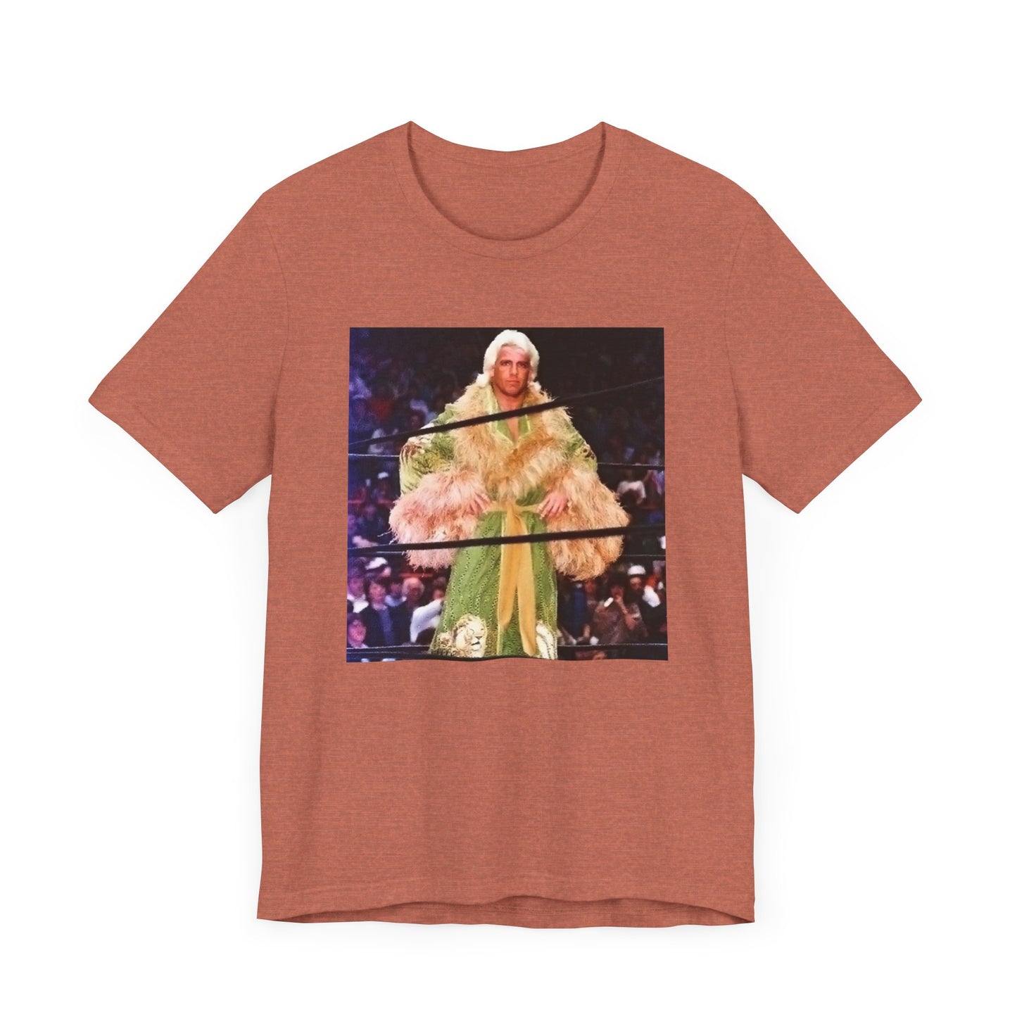 Ric Flair and The Jungle Robe! WOOOOO!