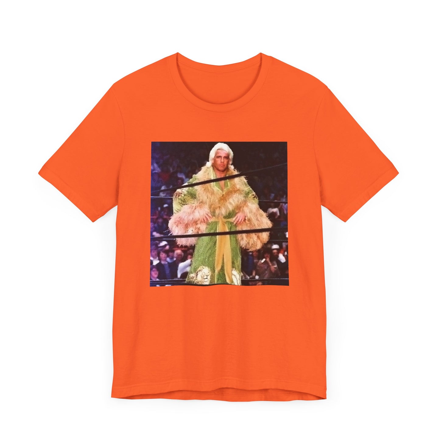 Ric Flair and The Jungle Robe! WOOOOO!