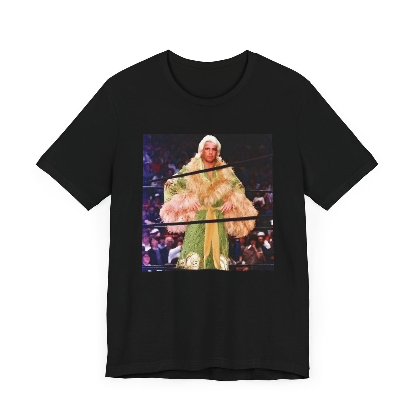Ric Flair and The Jungle Robe! WOOOOO!