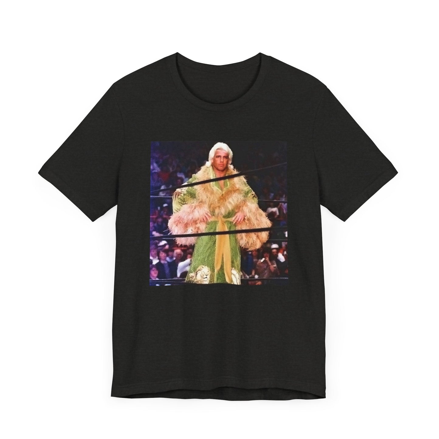 Ric Flair and The Jungle Robe! WOOOOO!
