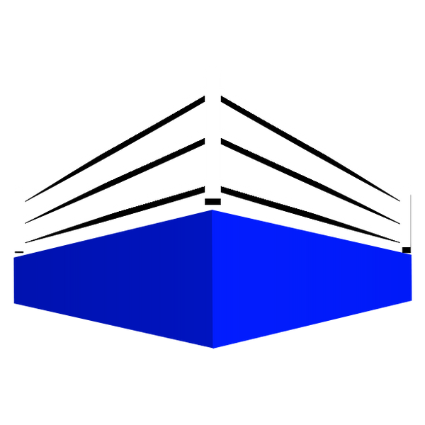 80s Wrestling Shop